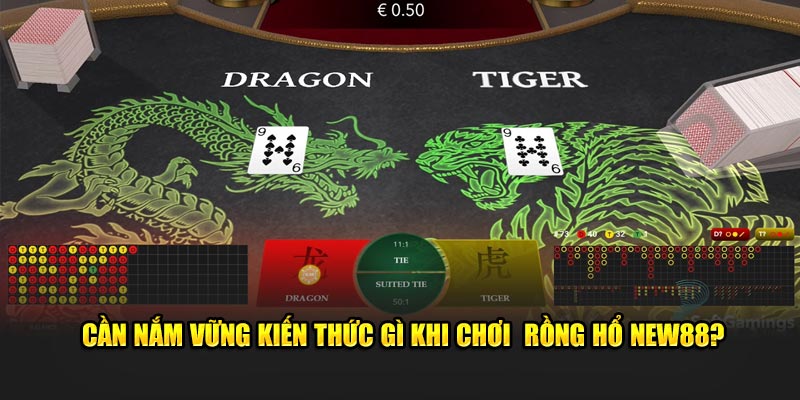 Cần nắm vững kiến thức gì khi chơi Rồng Hổ New88?